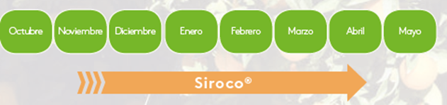 aplicación Siroco 50-60 días